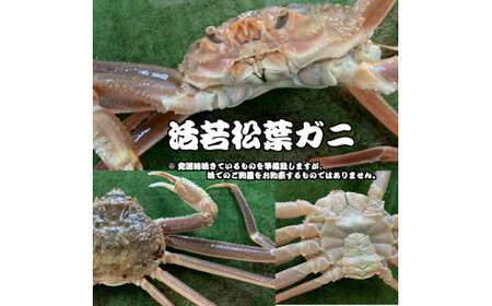 生若松葉ガニ 4枚(足1〜2本なし含む)かに カニ 蟹 生 新鮮 かに カニ 蟹 松葉ガニ 松葉がに かに カニ 蟹 生[魚倉]