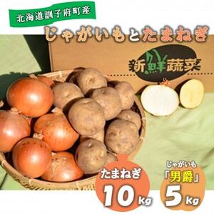 佐藤農場のじゃがいも「男爵」5kgと玉葱10kgセット[配送不可地域:離島・沖縄県]