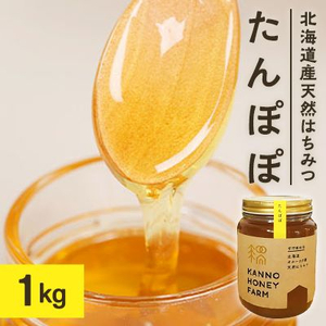 北海道産天然はちみつ　たんぽぽ　1kg【配送不可地域：離島・沖縄県】【1056691】