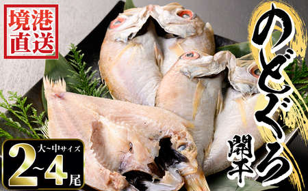 のどぐろ開干(大〜中サイズ/2〜4尾) 国産 魚介 干物 干し物 白身 海の幸 のどぐろ 赤ムツ アカムツ 冷凍 おかず おつまみ [sm-AA006][いたくら]