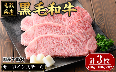 捕јaT[CXe[L(v3)Y  јa a T[C Xe[L BBQ o[xL[ ysm-AP002zy͐{Xz