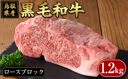 鳥取黒毛和牛ロースブロック(1.2kg)国産 黒毛和牛 牛肉 ロース ブロック ステーキ ローストビーフ 焼肉 BBQ バーベキュー ギフト 贈答 [sm-AP005][いろは精肉本店]