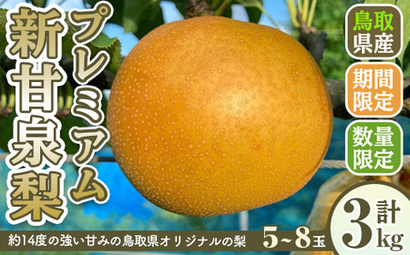 [先行予約受付中!8月下旬〜11月上旬発送予定][数量限定]こばやし農園プレミアム新甘泉梨(計3kg・5〜8玉) ふるさと納税 境港市 特産品 ジューシー 完熟 なし ナシ 果物 くだもの フルーツ 旬 [sm-CK006][こばやし農園]