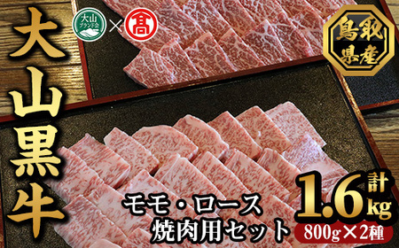 大山黒牛焼肉セット(モモ800g・ロース800g)鳥取県 大山 境港市 牛肉 肉 焼肉用 もも ロース セット 2種 冷凍 [T-AC16][大山ブランド会]