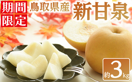 [数量限定][2025年8月下旬以降順次発送予定]鳥取県産新甘泉(約3kg) 国産 鳥取県 鳥取県産 梨 なし ナシ 果物 くだもの フルーツ スイーツ 旬 詰め合わせ [sm-BZ004][岡田商店]