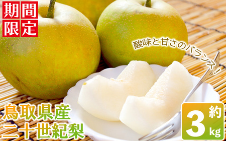 [数量限定][2025年8月下旬以降順次発送予定]鳥取県産二十世紀梨(約3kg) 国産 鳥取県 鳥取県産 梨 なし ナシ 果物 くだもの フルーツ スイーツ 旬 詰め合わせ [sm-BZ006][岡田商店]