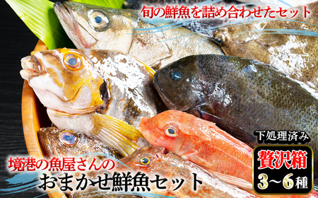 [平日着※指定日不可]境港の魚屋さんのおまかせ鮮魚セット 贅沢箱(3〜6種) 下処理済み 海鮮 鮮魚 詰め合わせ 海の幸[sm-DD013・sm-DD014][Workplays]