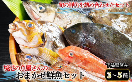 [平日着※指定日不可]境港の魚屋さんのおまかせ鮮魚セット(3〜5種) 下処理済み 海鮮 鮮魚 詰め合わせ 海の幸[sm-DD013・sm-DD014][Workplays]