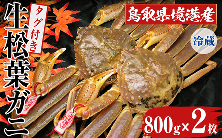 11{`3{\聄ws挧`Y ^Ott(800g×2)  Jj tKj tI 킢 YCKj ^Ot CN IX ɖX  