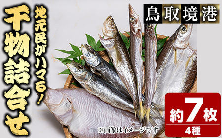 人気干物詰め合わせセット(約7枚) 国産 魚介 干物 干し物 海の幸 エテカレイ アジ カマス イカ タイ 冷凍 おかず おつまみ お土産 [sm-DG004-A][木村鮮魚店]