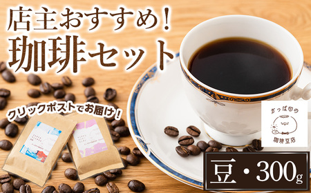 [豆]店主おすすめ!珈琲セット(計300g) コーヒー 珈琲 ドリップ 自家焙煎珈琲 ブラジル コロンビア グアテマラ インドネシア エクアドル コスタリカ 飲み比べ お取り寄せ [sm-DN001-A][かっぱ印の珈琲豆店]