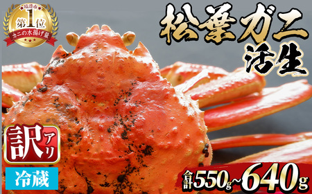 wsԌE󂠂聄11{`3{\聄tKj (550`640g/1) `Y A CN  Jj I tKj t tI 킢 YCK