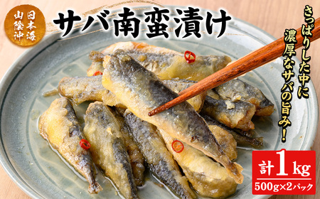 サバ南蛮漬け(計1kg) 鳥取県 日本海 山陰沖 さば 南蛮 さっぱり 濃厚 鮮魚 魚 魚介 海鮮 海の幸 食品 食べ物 惣菜 お惣菜 おかず ご飯のお供 おつまみ お取り寄せ ご当地 冷凍 [sm-CD015][羽根]