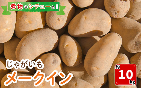[先行予約受付中!7月中旬〜9月中旬発送予定]じゃがいも メークイン(約10kg) ふるさと納税 境港市 特産品 野菜 じゃがいも ジャガイモ メークイン 肉じゃが 煮物 カレー シチュー 煮くずれしにくい [sm-DI001][大原茂美]