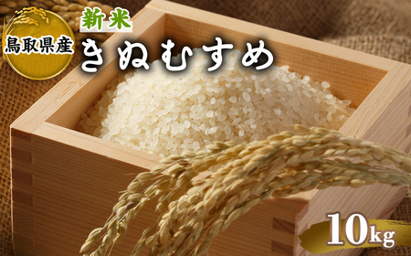 [先行予約受付中!2025年10月中旬〜2026年8月下旬発送予定][数量限定]令和7年産新米鳥取県産きぬむすめ(10kg) 国産 米 お米 おこめ 白米 精米 おにぎり おむすび ごはん お弁当 常温 [sm-DD067][Workplays]
