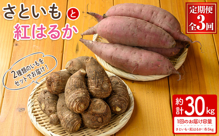 ցES3񁄁s\tI2025N10{`2026N2{\聄Ƃƍg͂邩̃Zbg(10kg×3Ev30kg)   Ƃ TgC ܂ Tc}C g͂