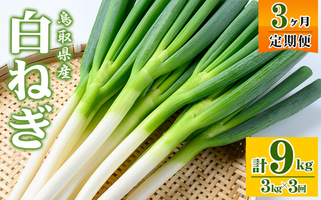 s\tI11{`4{\聄˂(3kg/3Ev9kg) ˂ lM lM ˂ lM { t yt ύ u  am \  痿 BBQ o[xL[ V