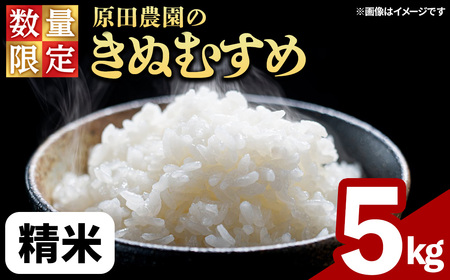 [令和7年産・数量限定]原田農園の「きぬむすめ」(精米・5kg) 鳥取県 白米 米 コメ こめ お米 おこめ ごはん ご飯 5キロ 10キロ [sm-EF002-A05][やまのおかげ屋]