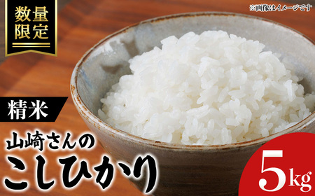 [令和7年産・数量限定]山崎さんのこしひかり(精米・5kg) 鳥取県 米 白米 コメ こめ お米 おこめ ごはん ご飯 5キロ 10キロ [sm-EF003-A05][やまのおかげ屋]