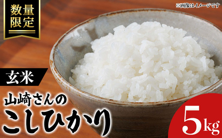 [令和7年産・数量限定]山崎さんのこしひかり(玄米・5kg) 鳥取県 米 白米 コメ こめ お米 おこめ ごはん ご飯 5キロ 10キロ [sm-EF003-B05][やまのおかげ屋]