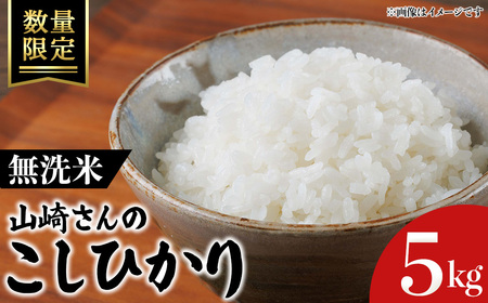 [令和7年産・数量限定]山崎さんのこしひかり(無洗米・5kg) 鳥取県 米 白米 コメ こめ お米 おこめ ごはん ご飯 5キロ 10キロ [sm-EF003-C05][やまのおかげ屋]