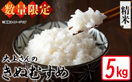 [令和7年産・数量限定]大上さんのきぬむすめ(精米・5kg) 鳥取県 米 白米 コメ こめ お米 おこめ ごはん ご飯 5キロ 10キロ [sm-EF004-A05][やまのおかげ屋]