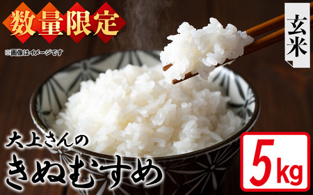 [令和7年産・数量限定]大上さんのきぬむすめ(玄米・5kg) 鳥取県 米 白米 コメ こめ お米 おこめ ごはん ご飯 5キロ 10キロ [sm-EF004-B05][やまのおかげ屋]