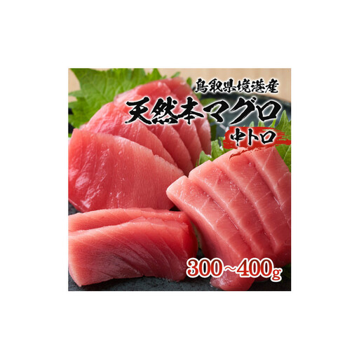 天然本マグロ(黒マグロ)　中トロ300～400g