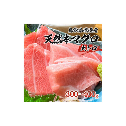 天然本マグロ(黒マグロ)　大トロ300～400g