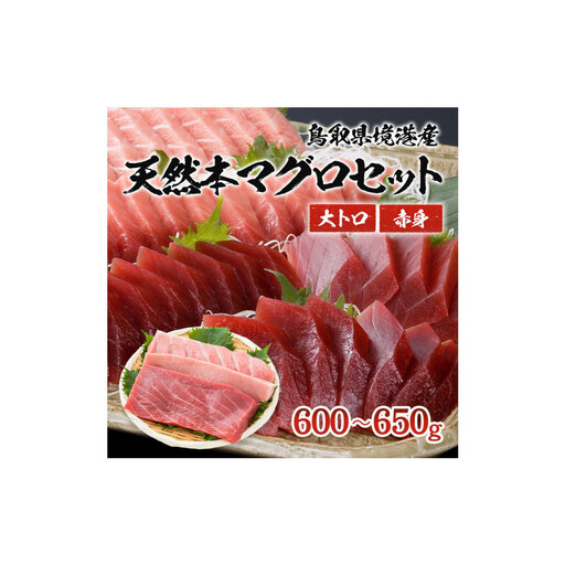 天然本マグロ(黒マグロ)　2点セット(大トロ・赤身)600～650g
