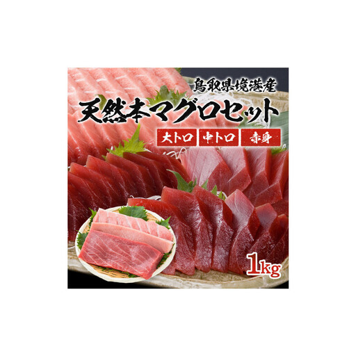 天然本マグロ(黒マグロ)　3点セット(大トロ・中トロ・赤身) 1kg