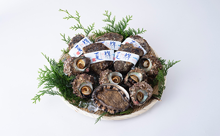 【21005】岩美町素潜りセット