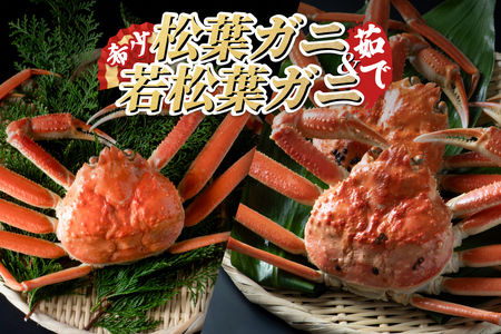 [22009-1]松葉がに&若松葉がにセット(ボイル)
