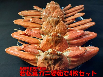 【先行予約】鳥取県岩美町特産 若松葉ガニ姿茹で 4枚セット【22044】