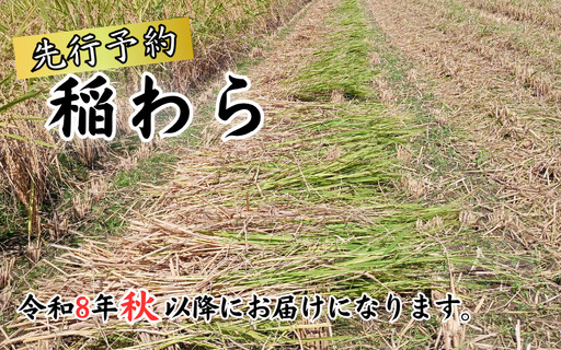 岩美町産コシヒカリの稲わら （長いタイプ）１０kg｜鳥取 岩美 稲わら わら 藁 家庭菜園 先行予約 お届けは2026年10月～【34004】