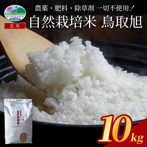 【2026新米先行予約】自然栽培米 鳥取旭（玄米）5kg×2袋 令和8年産｜鳥取 岩美 岩美町産 お米 こめ 玄米 無農薬 無肥料 【31025】