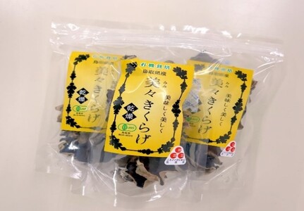 X炰10܁b  炰 LmRy35002z
