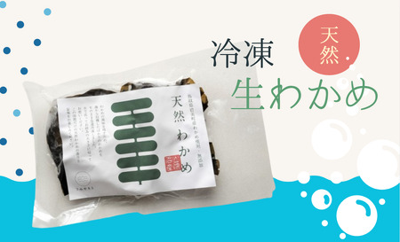 うみのもり 冷凍生わかめ 100g×10個セット|鳥取 岩美 わかめ ワカメ 海藻 冷凍 生[24042]