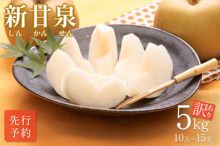 【先行予約】（訳あり）中野農園 梨 ”新甘泉” 5kg箱｜鳥取 岩美 梨 なし ナシ【41022】