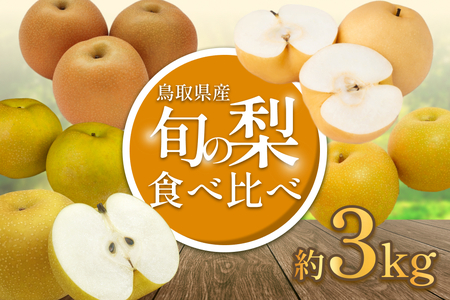 先行予約 品種はおまかせ2種類 旬の梨ミックス 3kg|鳥取 果物 フルーツ なし 梨[41042]