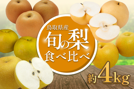 先行予約 品種はおまかせ 旬の梨ミックス 4kg|鳥取 果物 フルーツ なし 梨[41041]