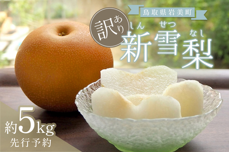 [先行予約](訳あり)中野農園 梨 "新雪梨" 5kg箱|鳥取 岩美 梨 なし ナシ 赤梨 果物 フルーツ[41046]