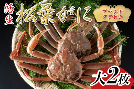 ys\zyzuh^OttKj  2 2025N11`b  t Ɂy22050z