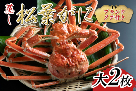 ys\zyzuh^OttKj  2 2025N11`b  t Ɂy22051z