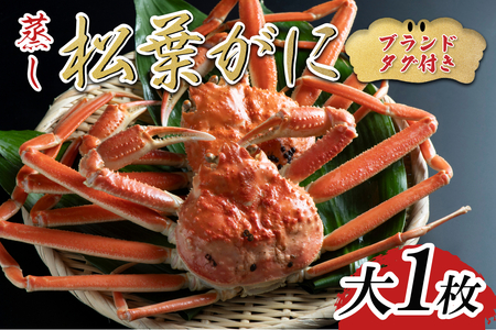 [先行予約][蒸し]ブランドタグ付き松葉ガニ 大 1枚 2025年11月〜順次発送|鳥取 岩美 松葉がに かに[22055]