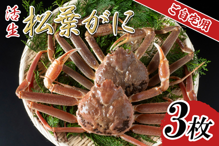 ys\zyzptKj 3 2025N11`\b {C t tI  YCKjy22056z