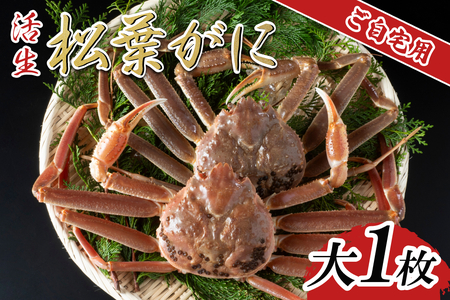 ys\zyzptKj  1 2025N11`\b {C t tI  YCKjy22060z