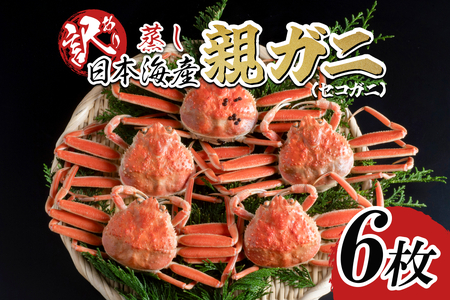 ys\zyz󂠂 peKjiZRKjj6 2025N11`b  {C  tKj YCKjy22065z