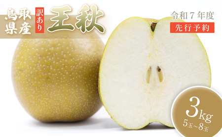 �i�󂠂�j����_�� �� �h���H���h 3kg���b���� ��� �� �Ȃ� �i�V�y41050�z