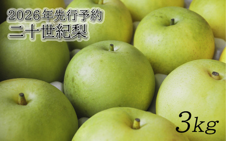 [2026年 先行予約]二十世紀梨 3kg|鳥取 東光園 梨 2026年収穫後 2026年8月下旬から順次発送[41051]